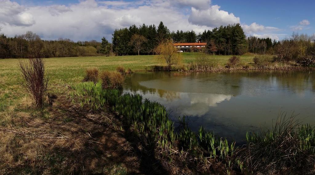 Orsegi Patakparti Alpaka Panzio Kisrakos Exterior photo